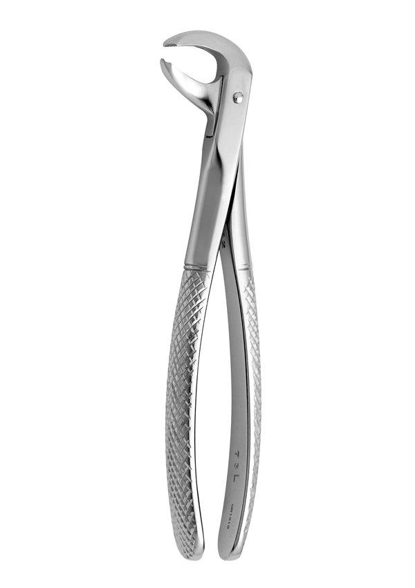 Lower molars